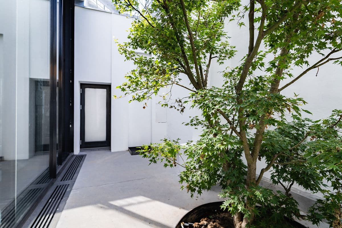 Detailed photo of the outdoor area at the Garage in Mogens Dahl Concert Hall, showing a tree in the landscape. The image highlights the scenic aspect of the area, which is part of the outdoor experience.